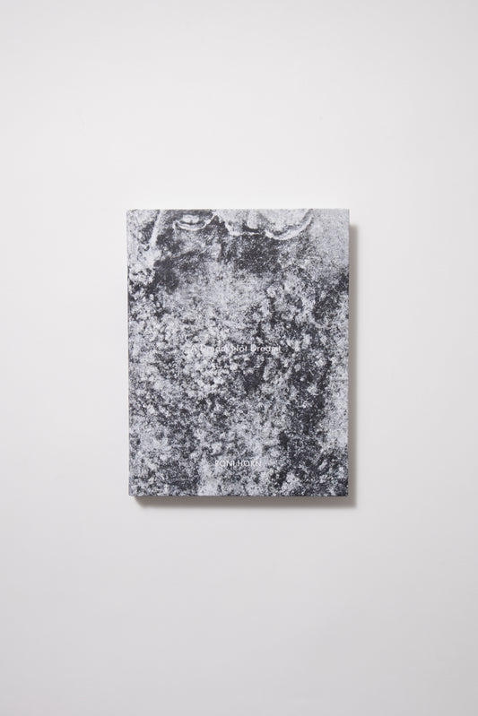 Roni Horn: A Dream Not Dreamt