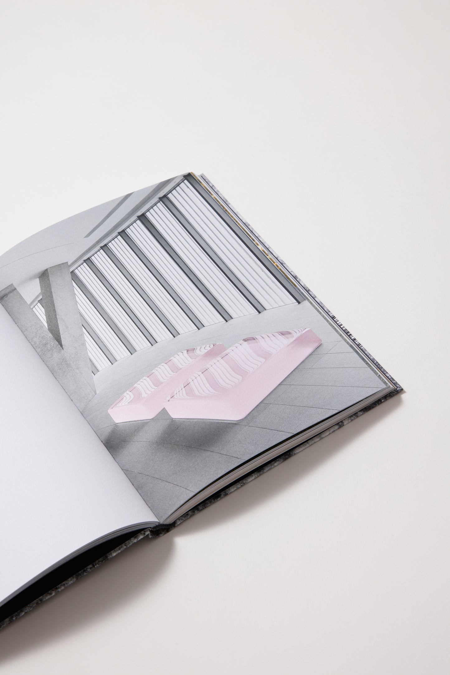 Roni Horn: A Dream Not Dreamt