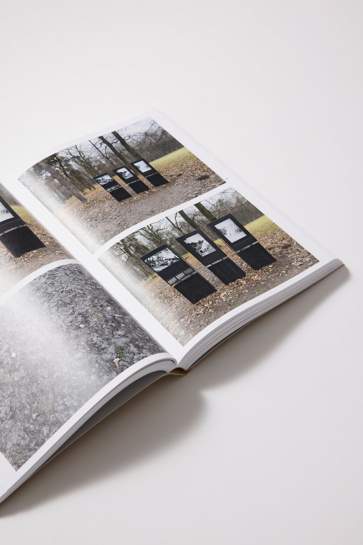 Juergen Teller: Auschwitz Birkenau