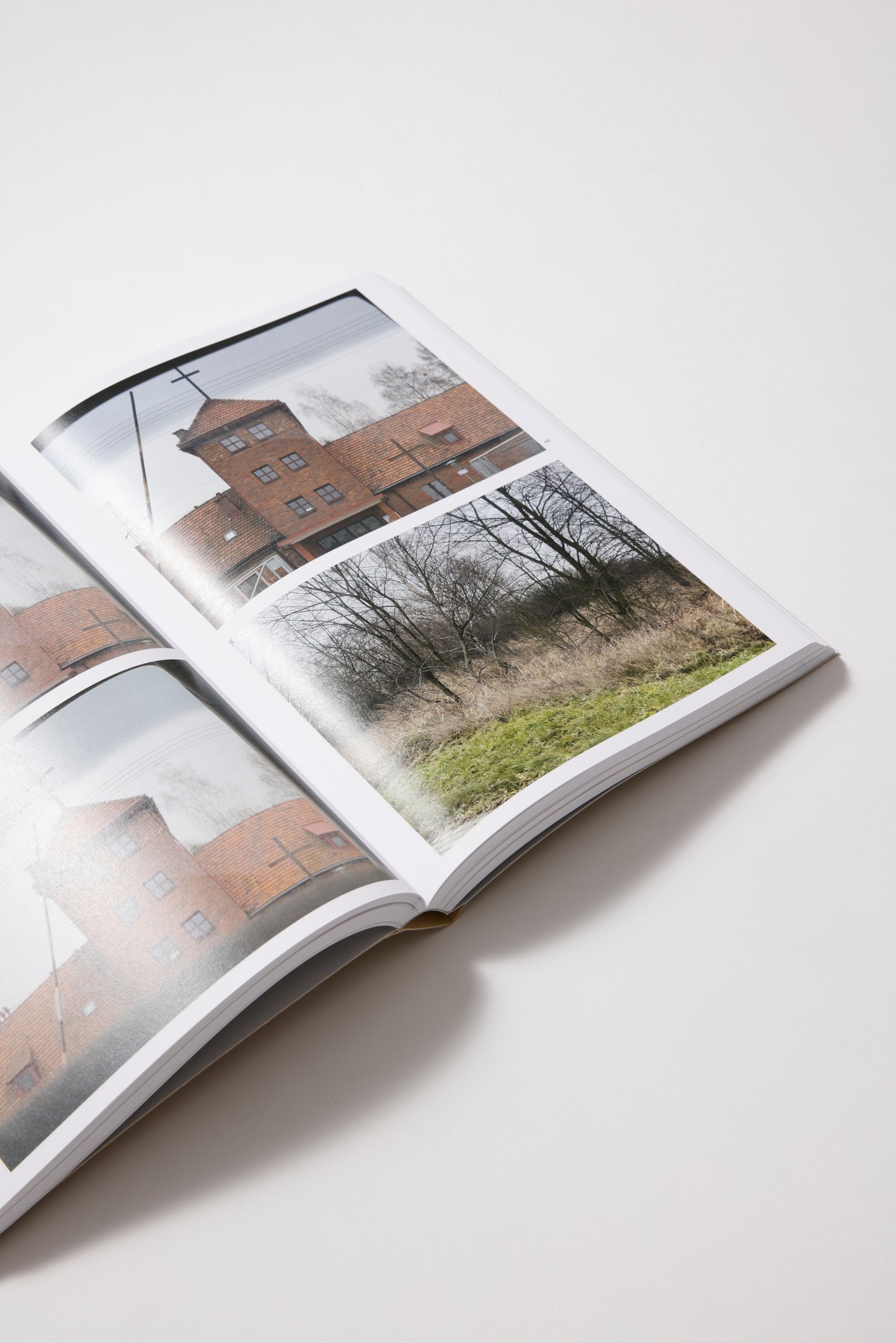 Juergen Teller: Auschwitz Birkenau