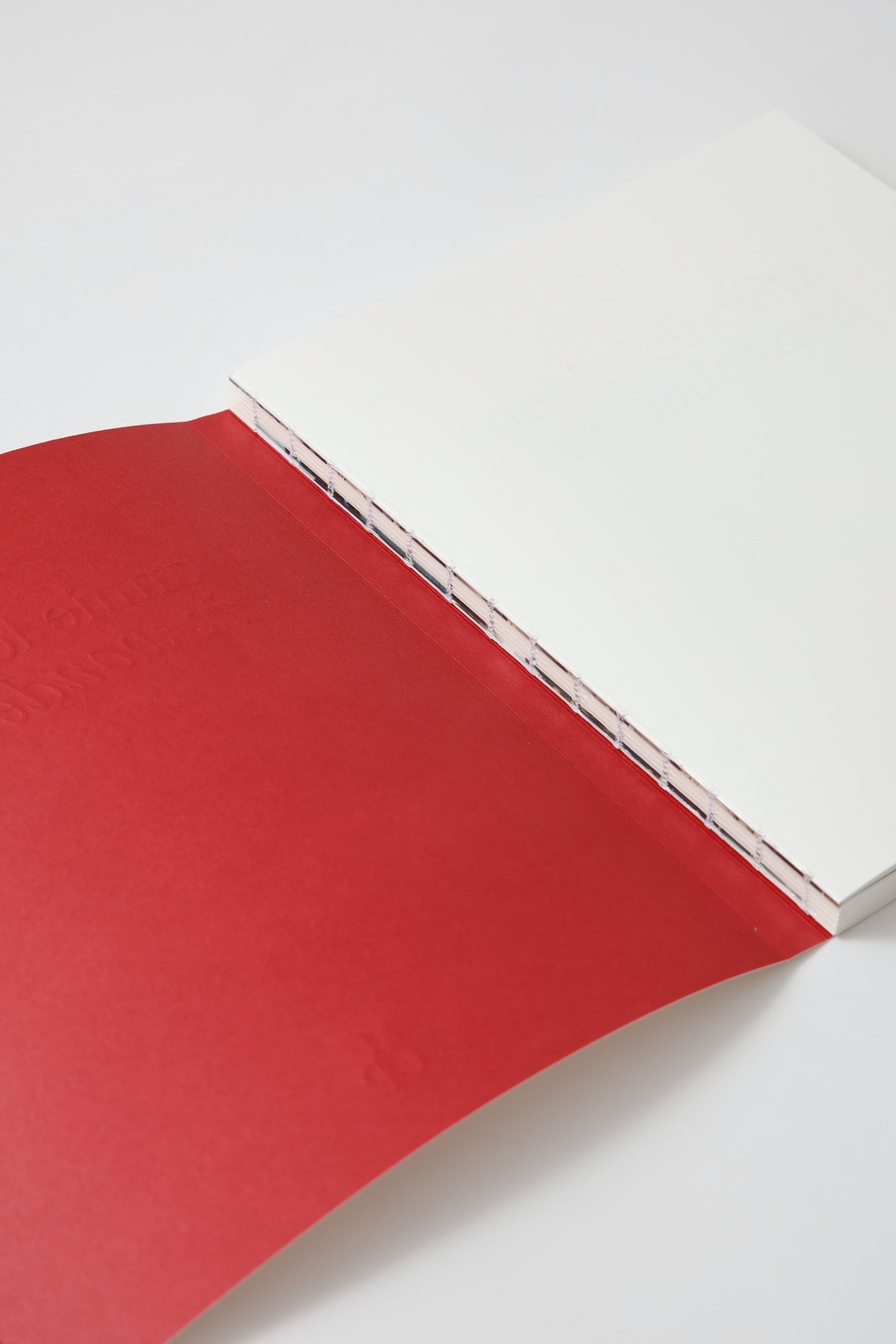 Annie Leibovitz In Wonderland