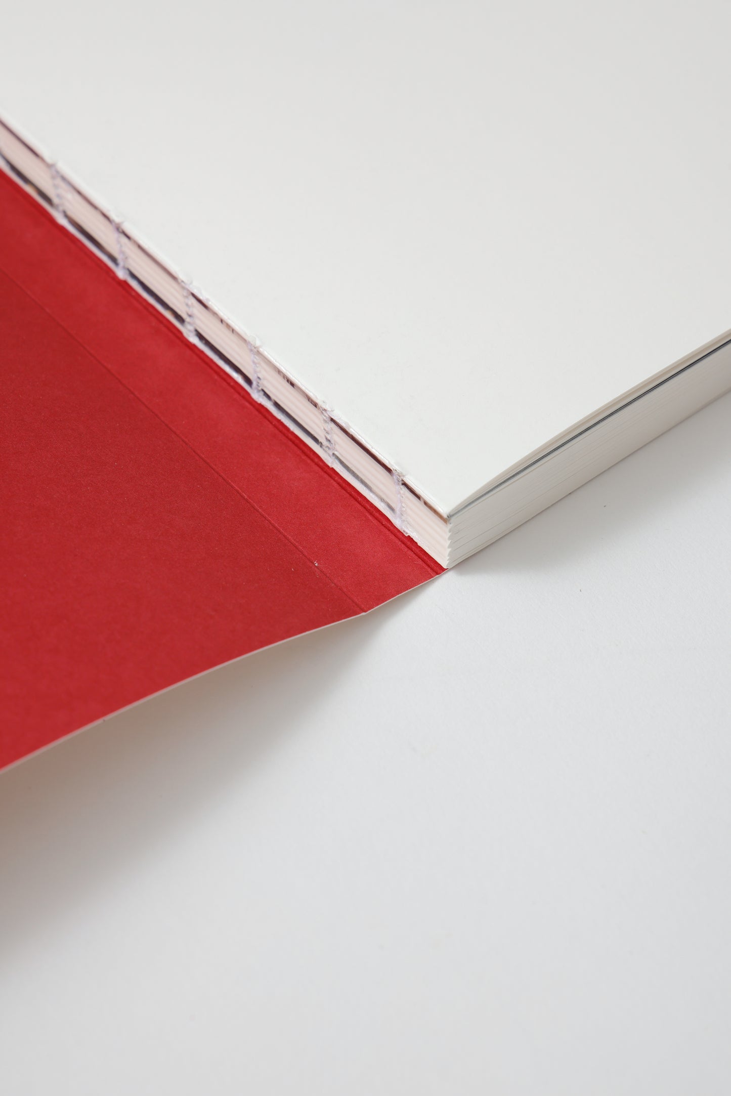 Annie Leibovitz In Wonderland