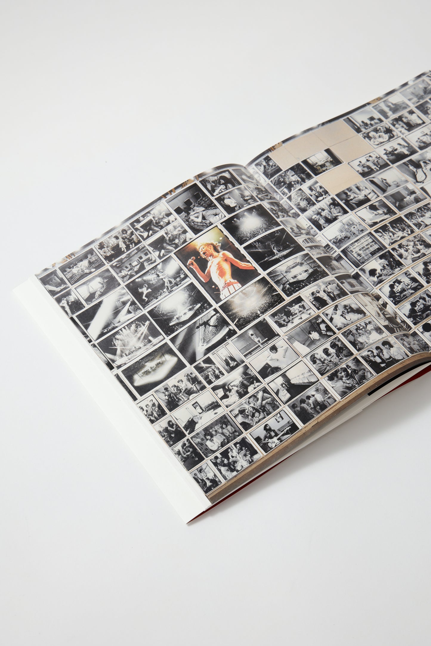 Annie Leibovitz In Wonderland