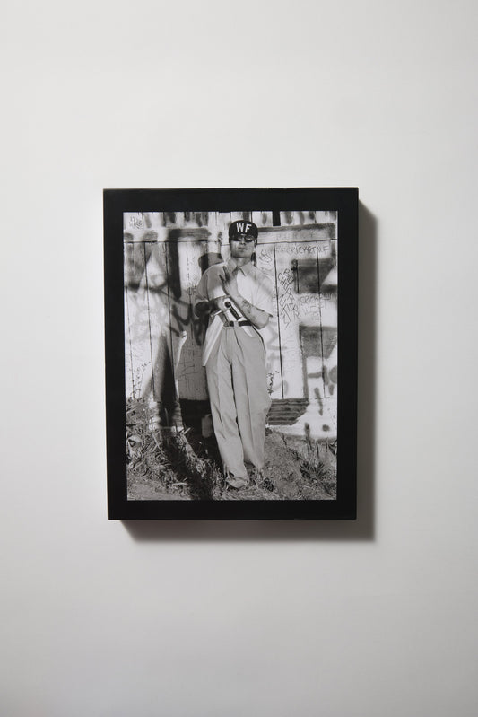 White Fence (In Spanish)