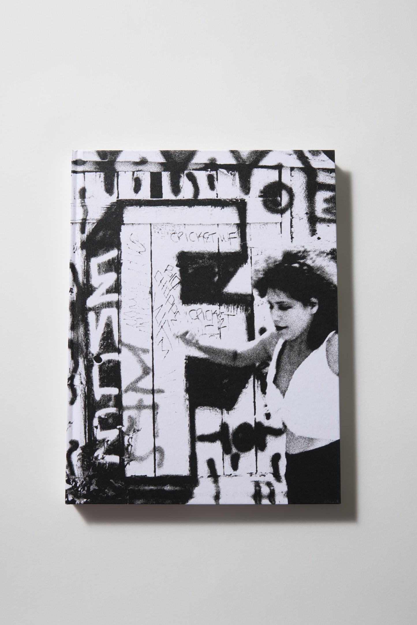 White Fence (In Spanish)