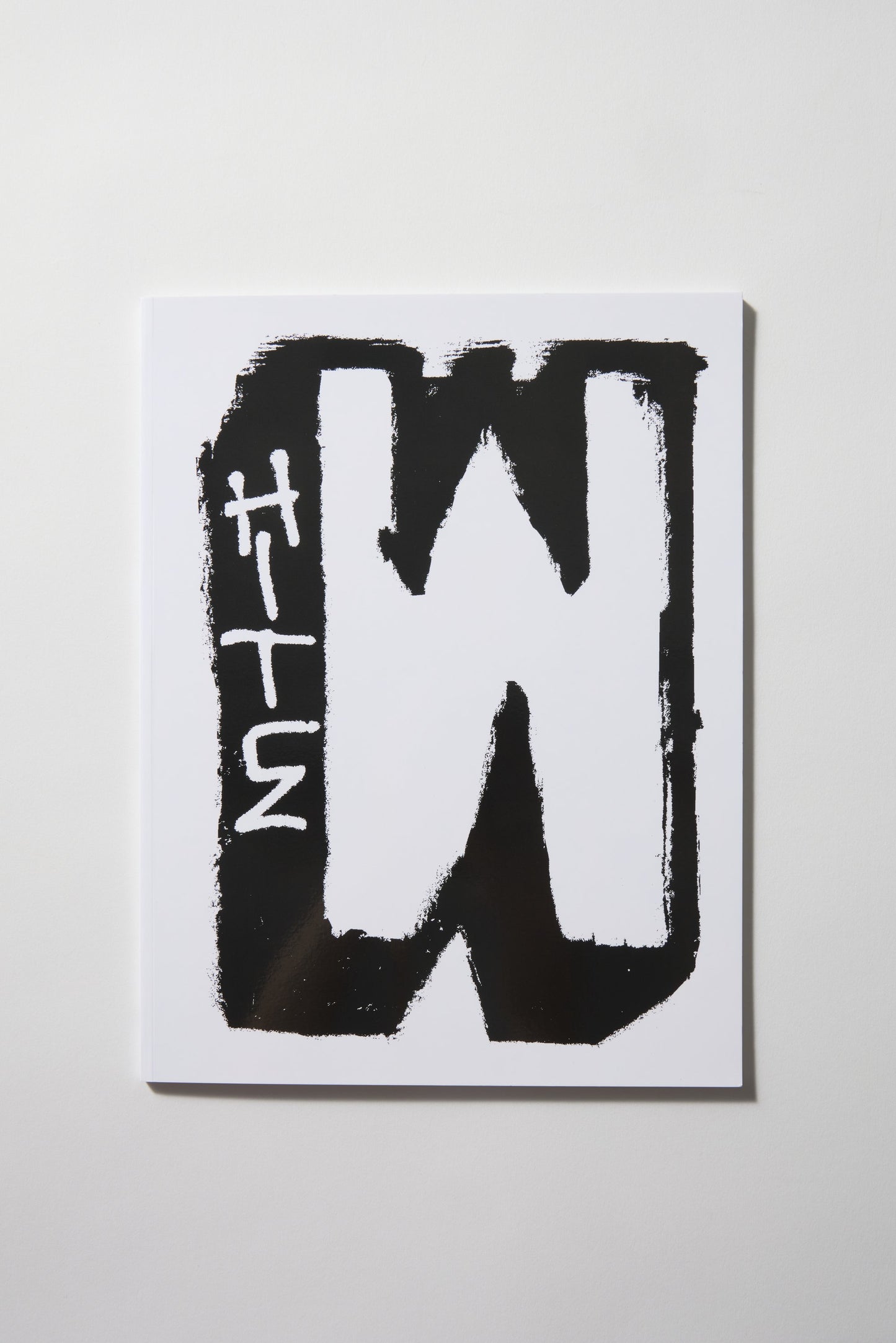 White Fence (In Spanish)