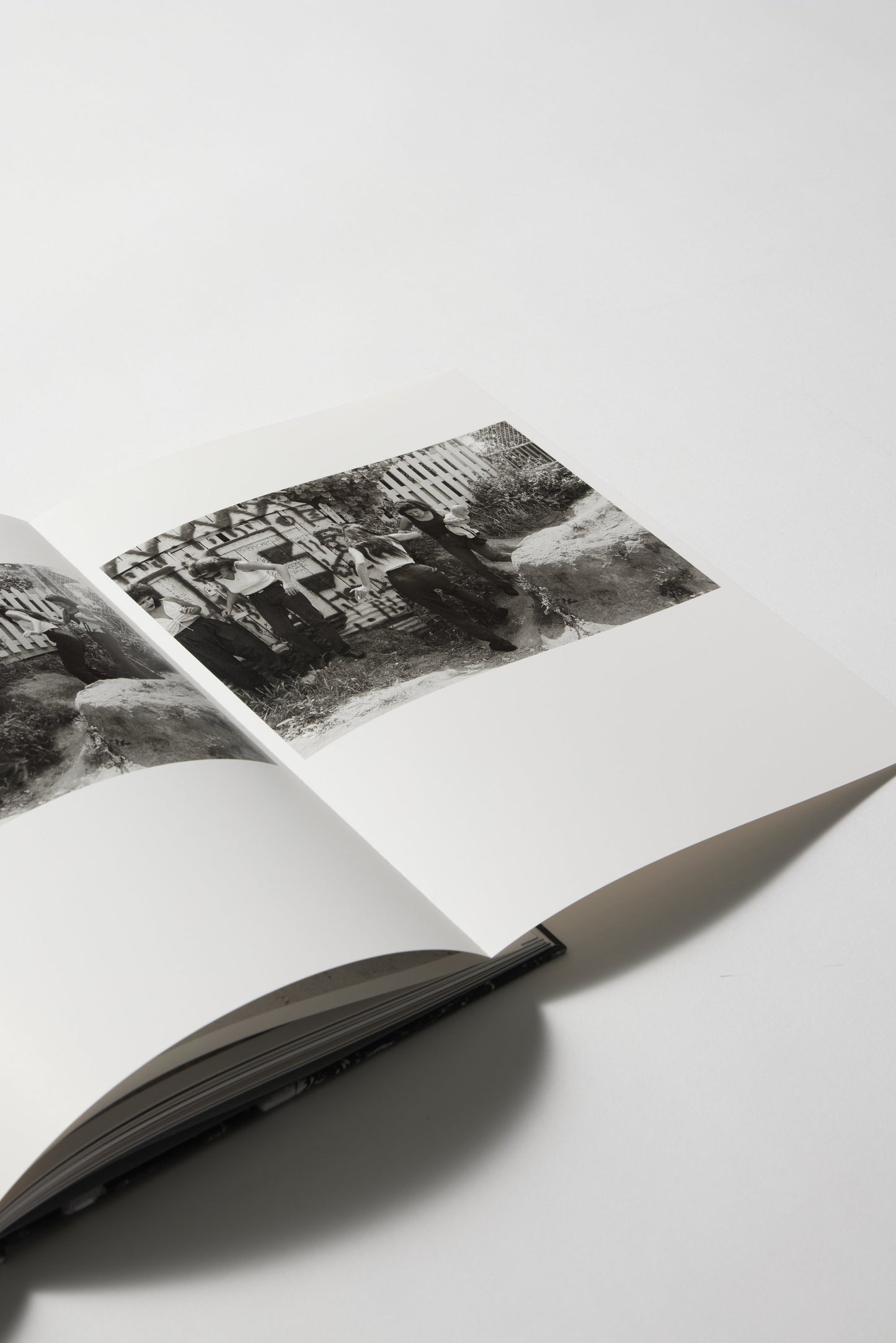 White Fence (In Spanish)