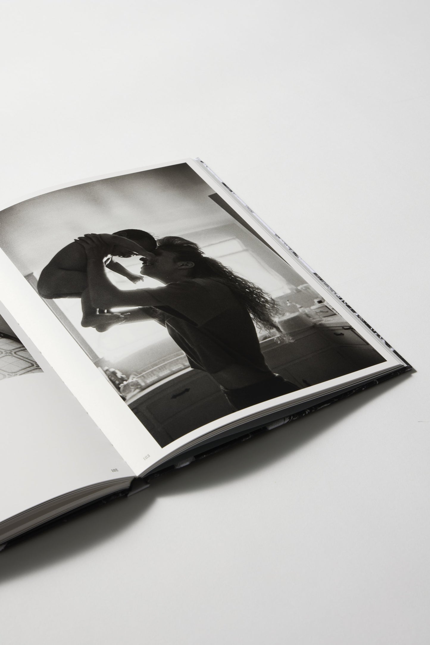 White Fence (In Spanish)