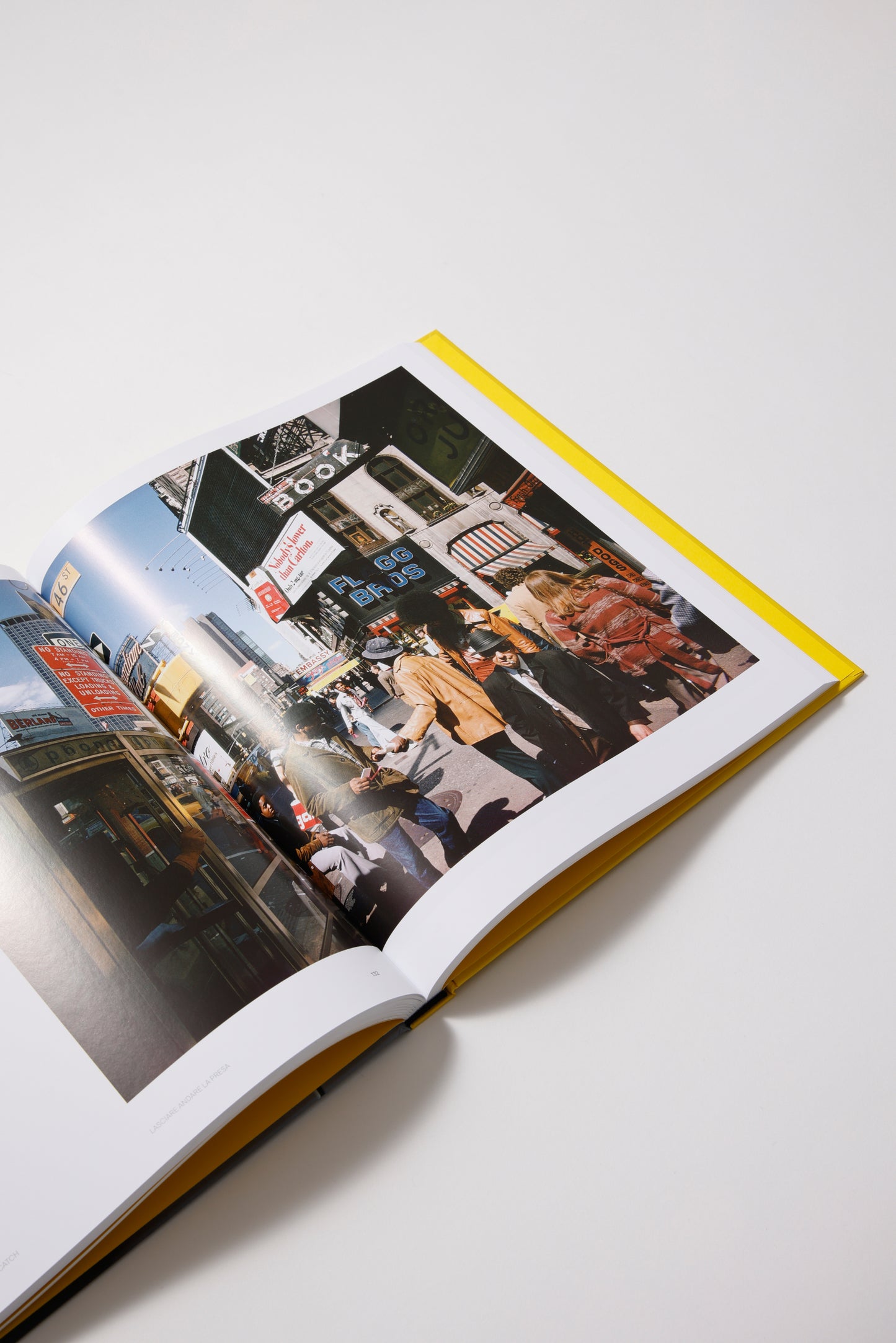 Joel Meyerowitz: A Sense of Wonder (Bilingual edition): Photographs 1962-2022