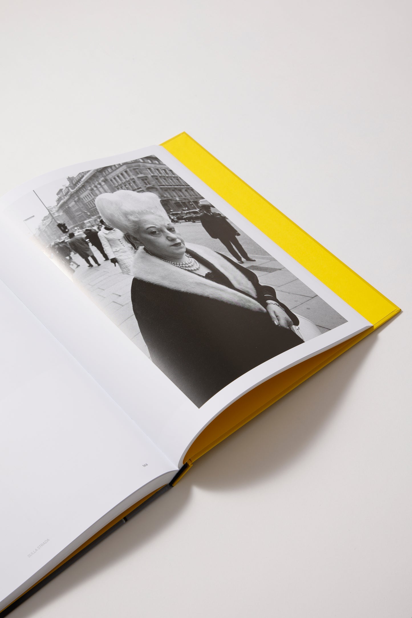 Joel Meyerowitz: A Sense of Wonder (Bilingual edition): Photographs 1962-2022