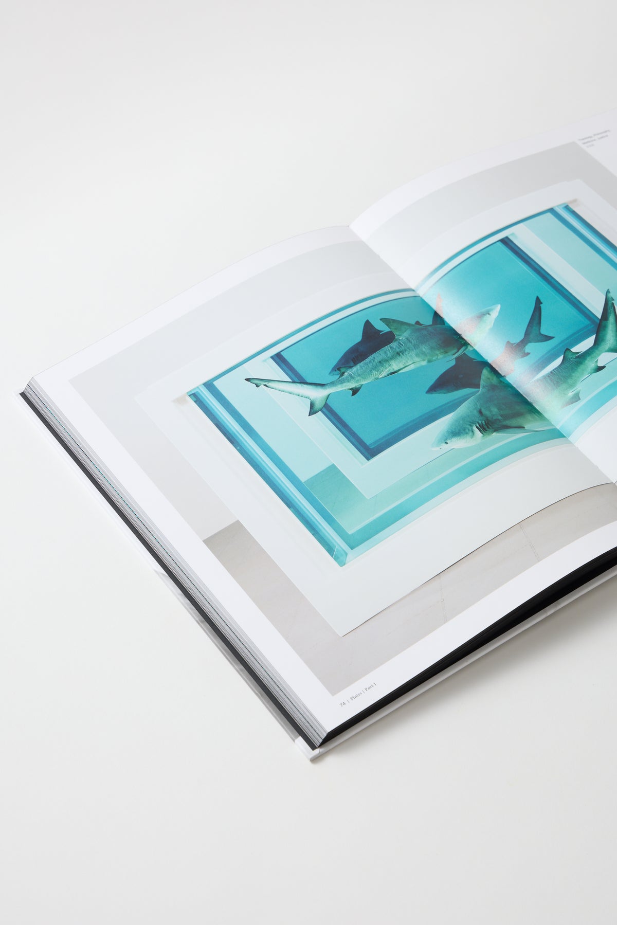 Damien Hirst, To Live Forever (For a While)