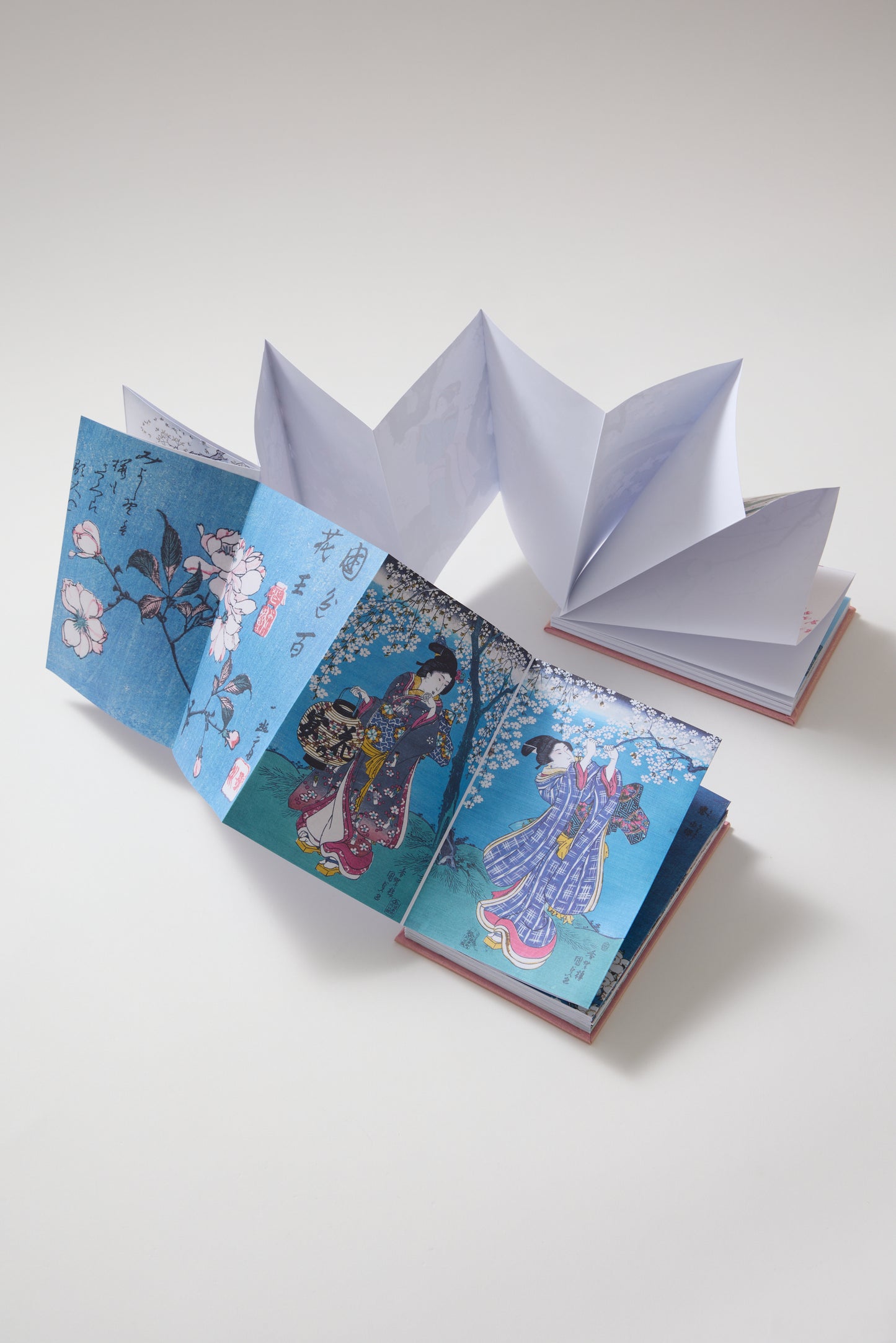 Cherry Blossoms in Bloom: Great Works of Japanese Woodblock Printing