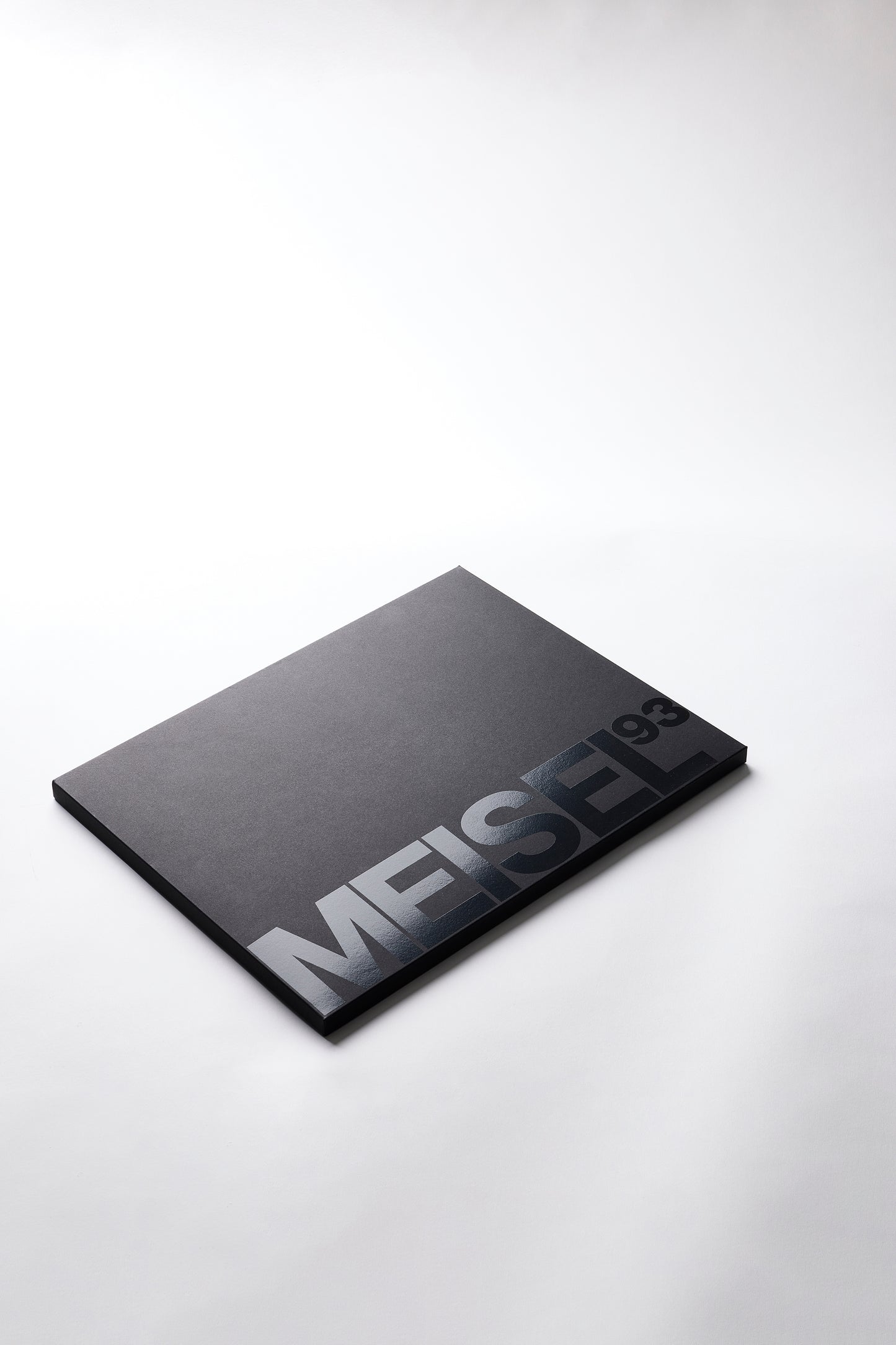 Steven Meisel • 1993: A Year in Photographs