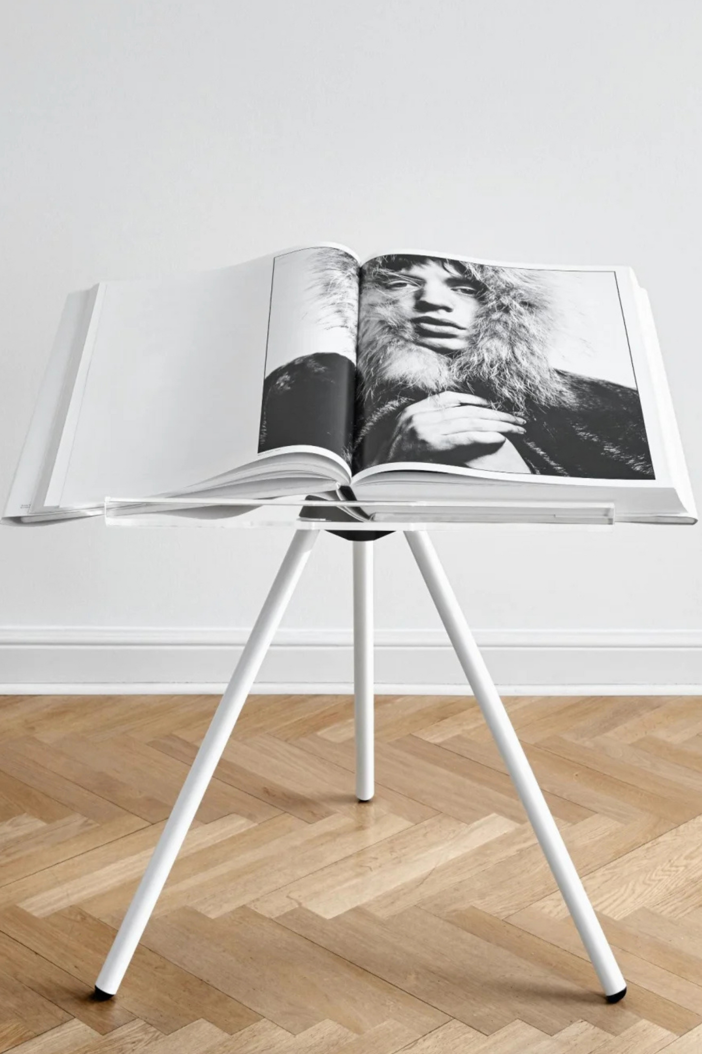 The David Bailey SUMO